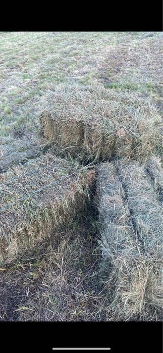 Vand baloti de fan si otava, calitate bun