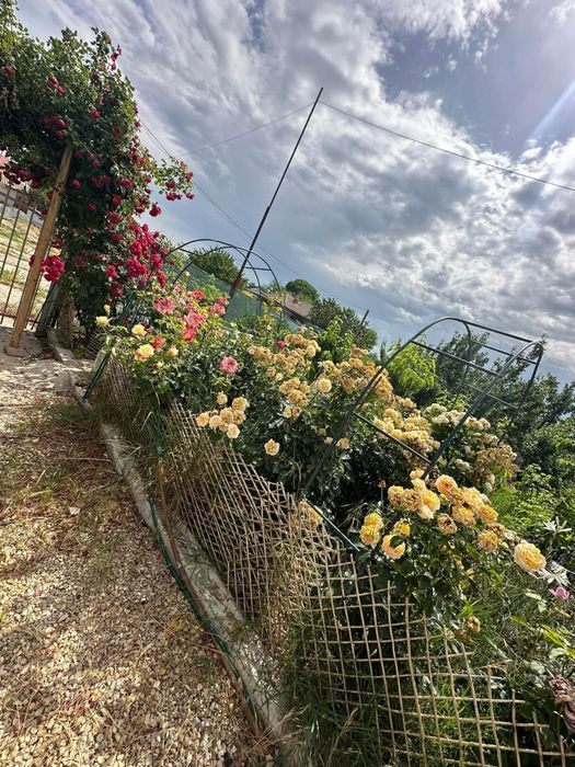Casa spatioasa cu teren si anexa in Dorobantu