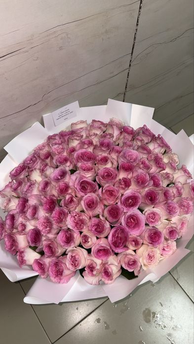 Свежая розовые 101 роза