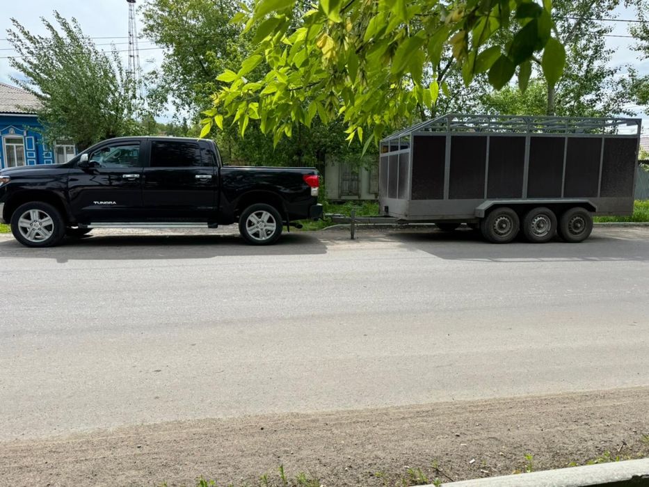 Коневозка. Перевозка скота. 200 тг/км