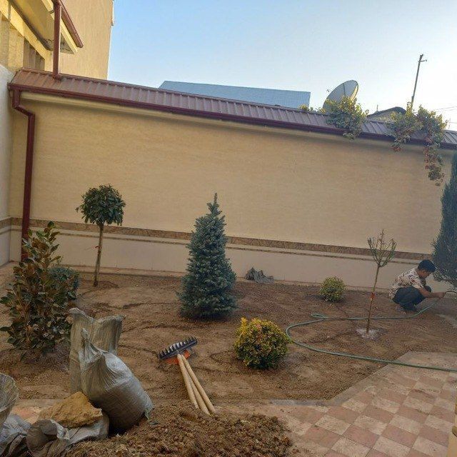 Gazon Ladshaft dizayin