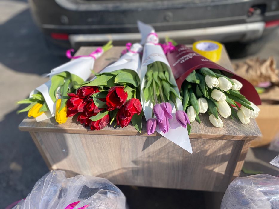 Мишка по разным размерам