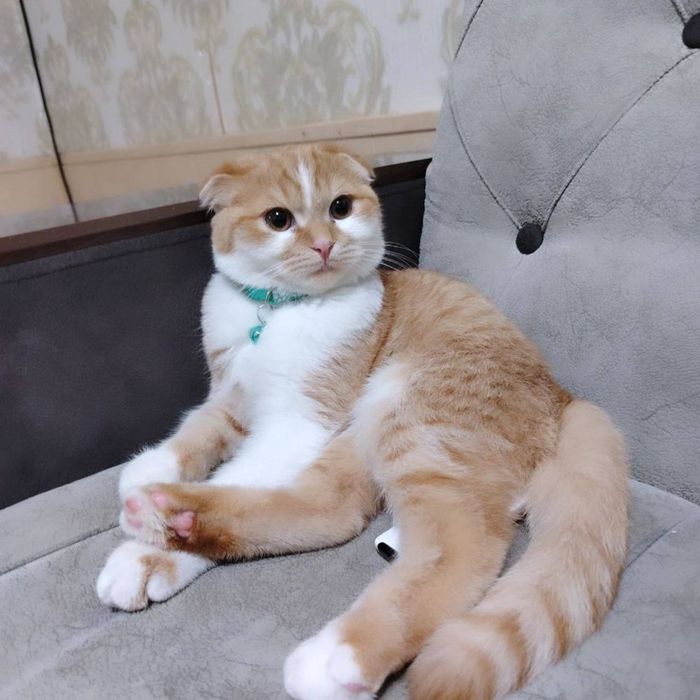 Sumkasi, ovqat idishi , uychasi, tirnoq oladigani,tarog'i, latogi