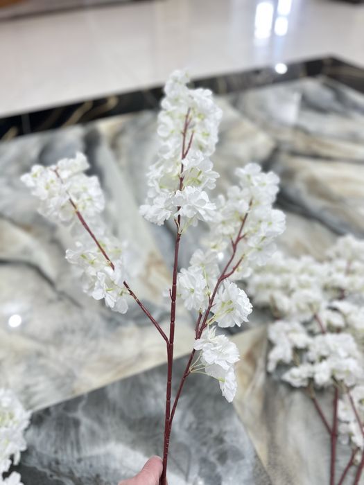 Белая Сакура для оформления