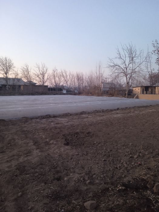 15 sotik yer sotiladi