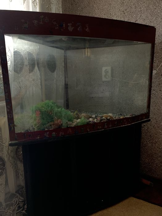 Akvarium sotiladi