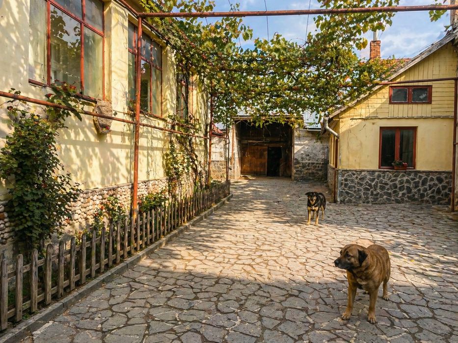 Casa de vanzare,Racos Brasov