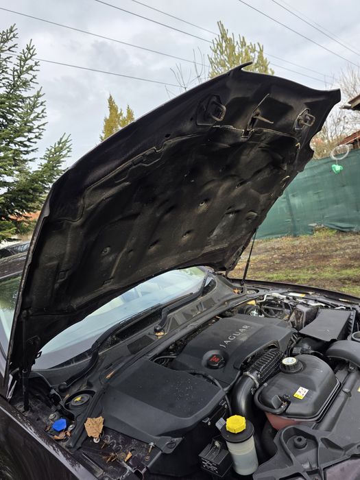 Преден капак за Jaguar xf 2012 година