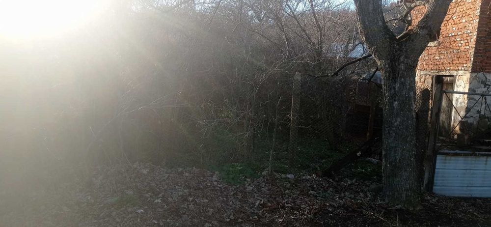 Продава се Парцел в с. Голямо Буково, Област Бургас - 500 кв.м за 21 €/кв.м - Снимка #8