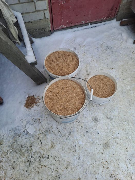 Корма  для сельхозживотных