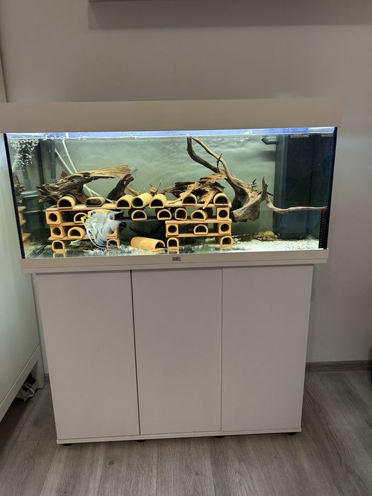 Acvariu Juwel Rio 180 l