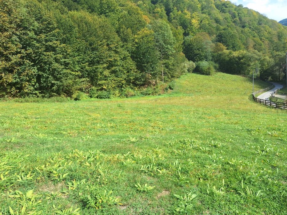 Teren de vazare in Maguri Racatau / Valea Racataului