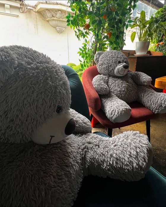 Плюшевые медведи