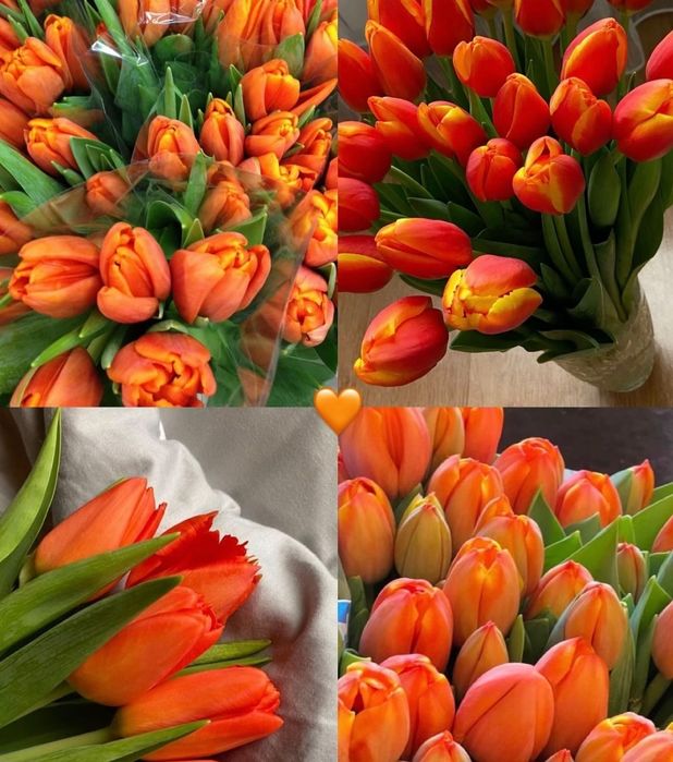 Принимаем предзаказ на Тюльпаны  на 8 марта
