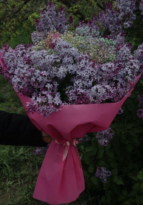 Букет сирени с гипсофилой 5000тг