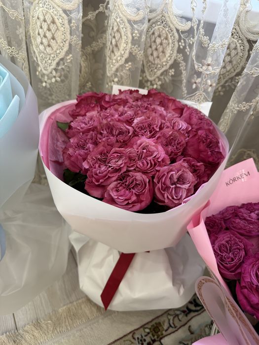 продам цветы от 3000до 7000 тыс