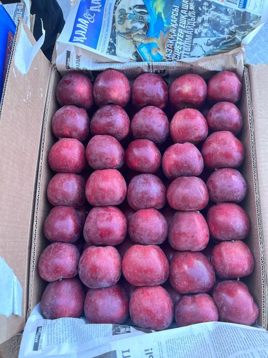 Продам яблоки , Американка , и айдорлет !!