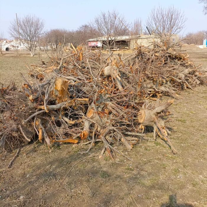 Утин кундала сотилади арзон нархда 2 мошиндан купрок