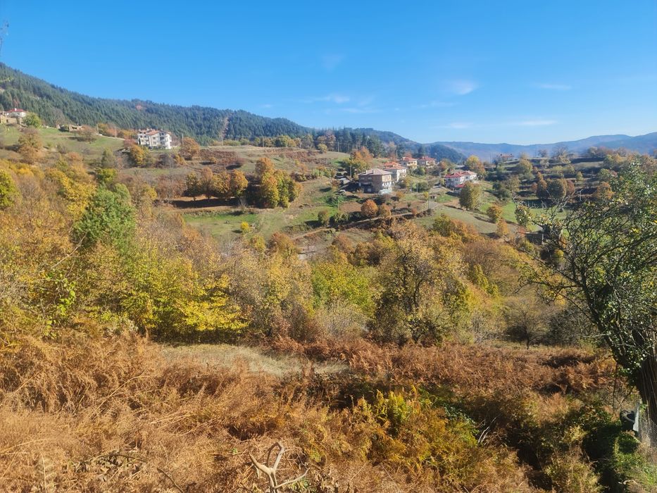 Продава се Къща в с. Вишнево, Област Смолян - 206 кв.м за 141 €/кв.м - Снимка #10