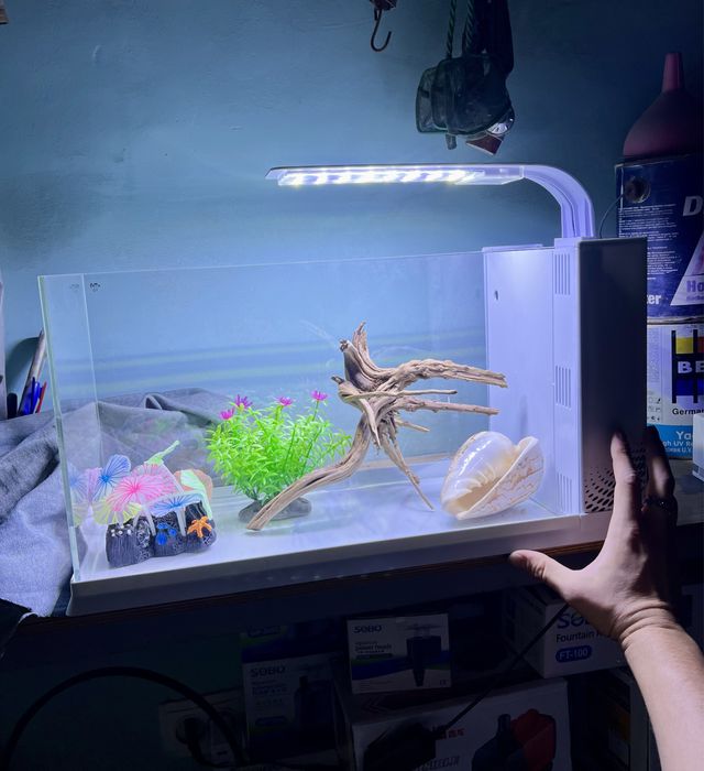 Аквариум с фильтром и лампой 55 литров КАЧЕСТВЕННЫЙ