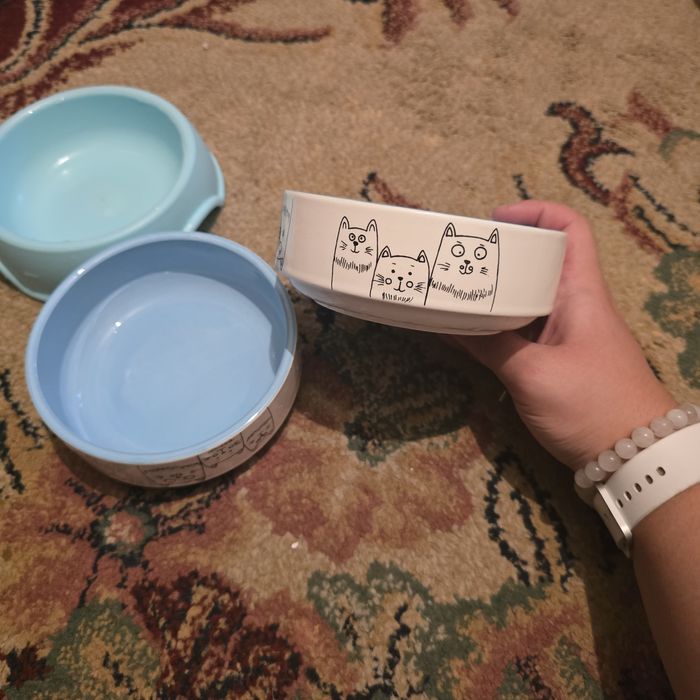 Керамическая миска для кошки/кота