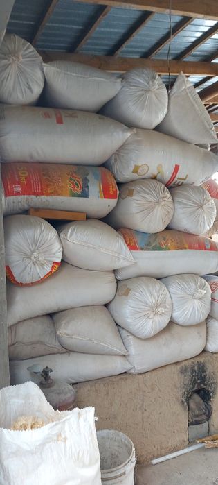 Опилка из дерева сухие