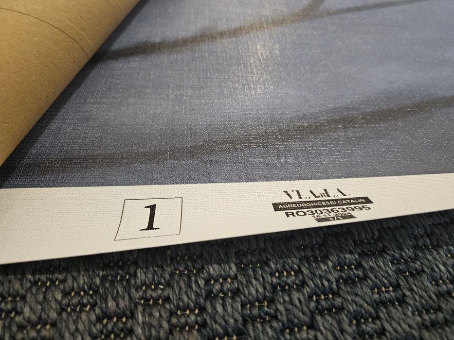 Tapet Vladila, material canvas , 240x167