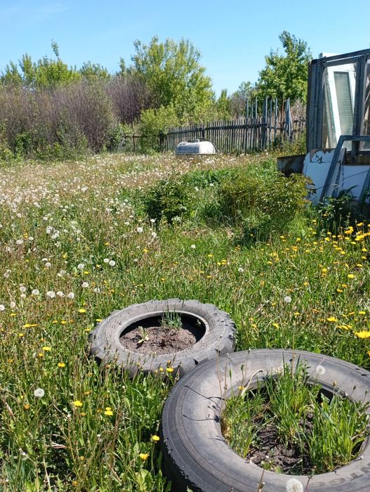 Продам дачу ст Космос