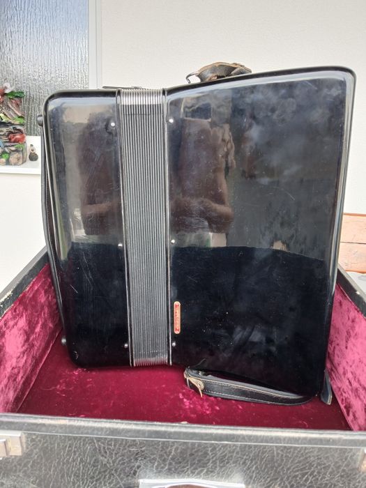 Acordeon Parrot, 80 bași