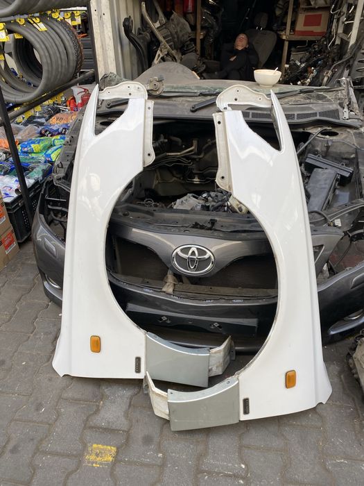 Ноускат Виндом 21