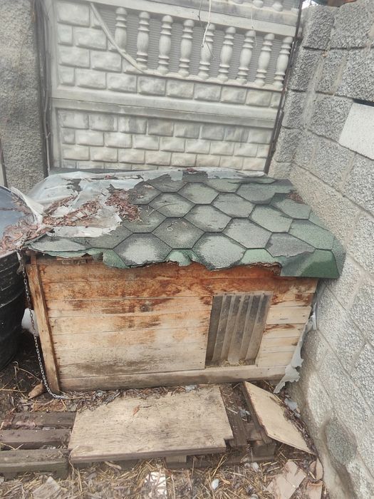 Будка для собак продается