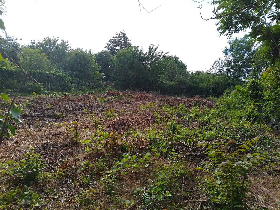 Почистване на парцели, дворове