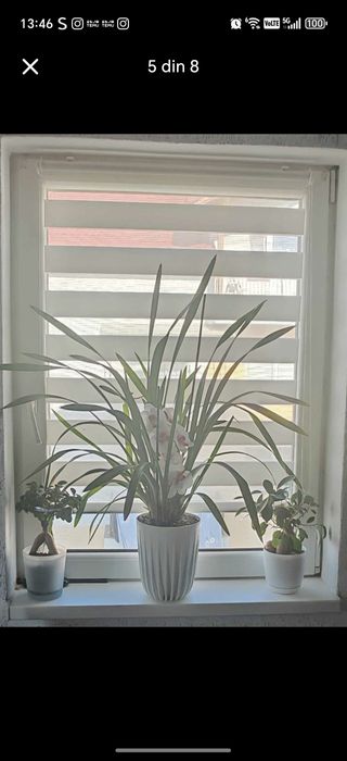 Vând termopane în stare bună