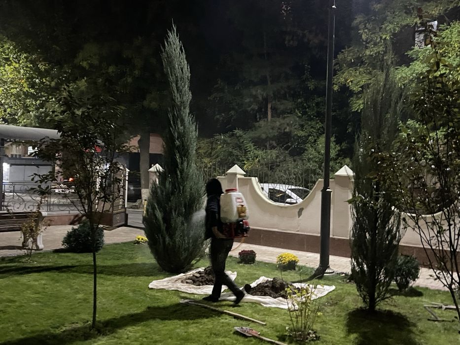 Арчалар доктори СКИДКА