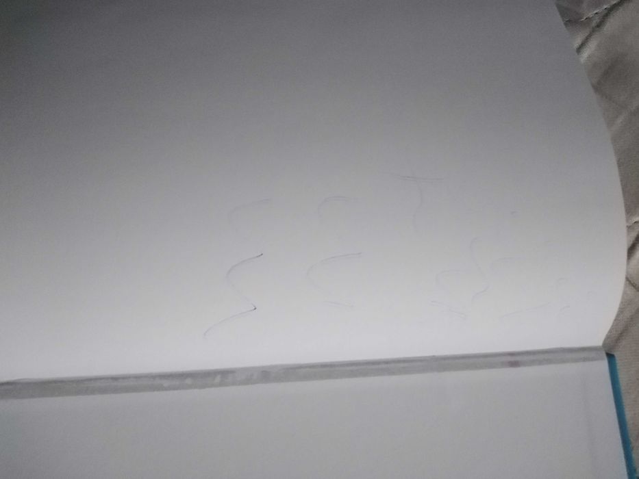 Книга "Тайните на Стефи"