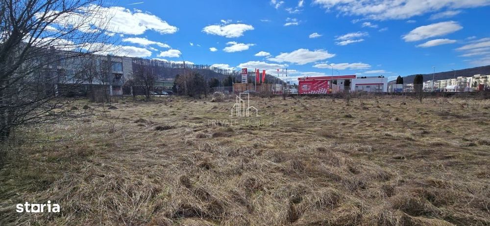 Teren intravilan, 4019 Mp, Sighisoara