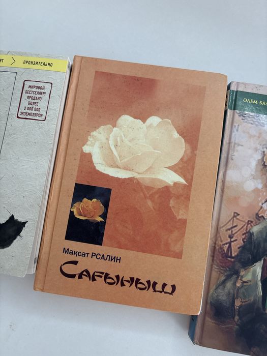 3 книги с одним лотом