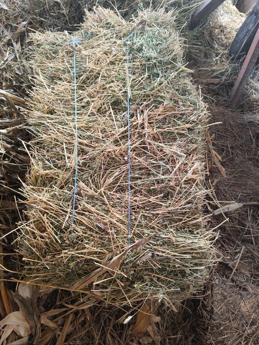 Vând baloți de lucernă