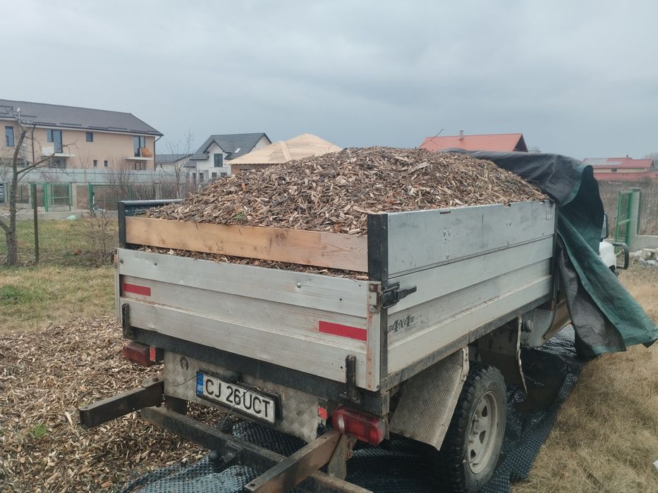 tocatura de crengi, mulci