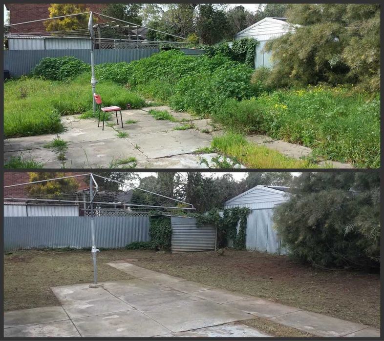 Tuns iarbă înaltă și boscheți – Motocoasă - Disponibil în weekend