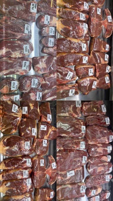 Продам мясо говядины молодняк. Сан ет сатылады жас мал