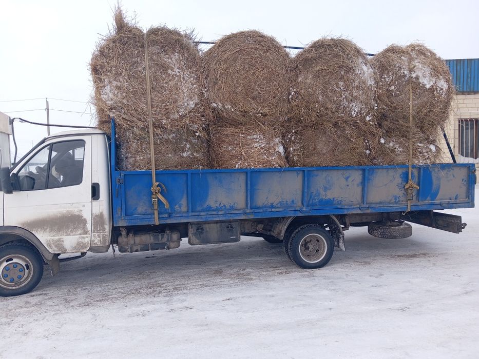 Продам сено в рулонах с доставкой