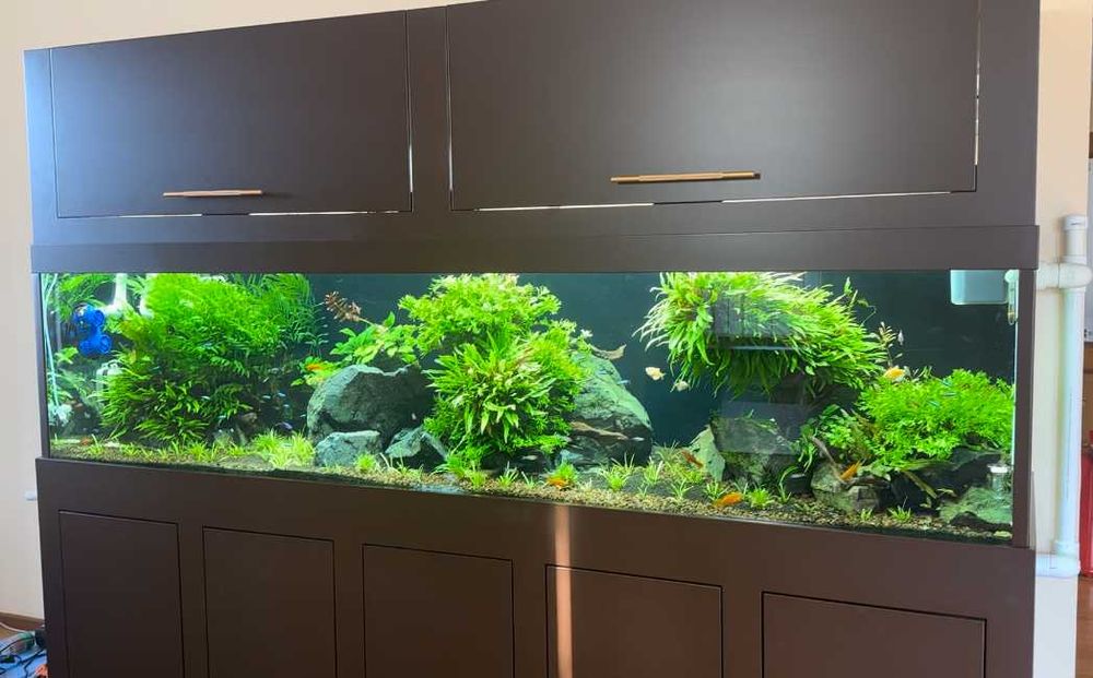 Продам Аквариум на 1000л с мебелью.