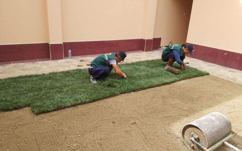 Рулонный газон доставка и укладка за один день