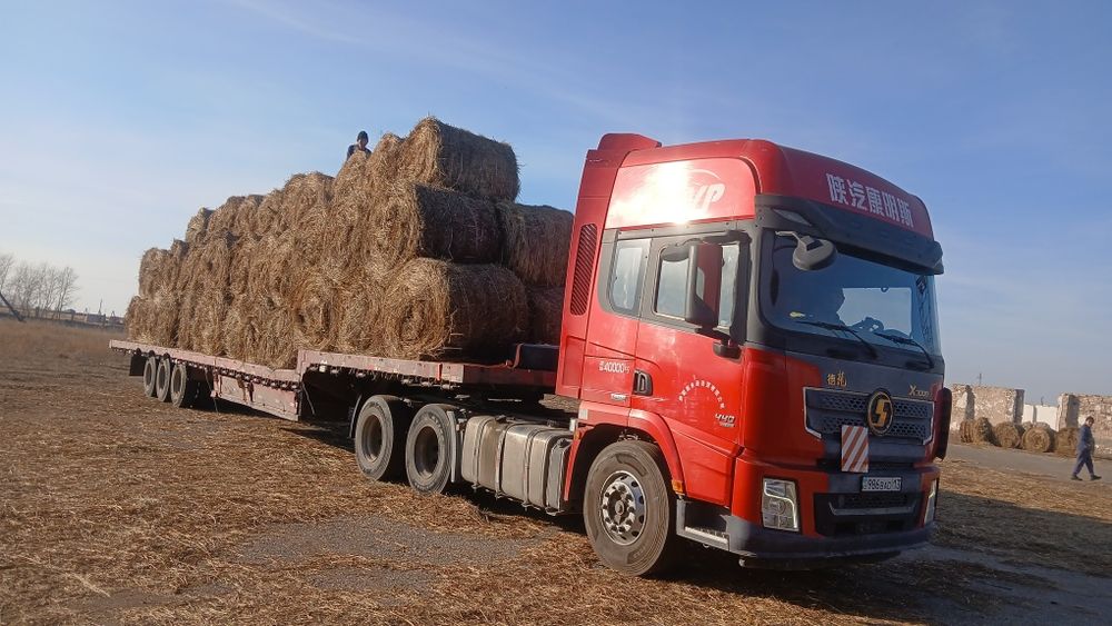 Шөп. сено рулон.