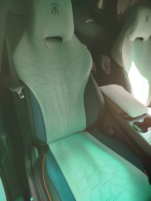 Byd chempion chehol nakidka