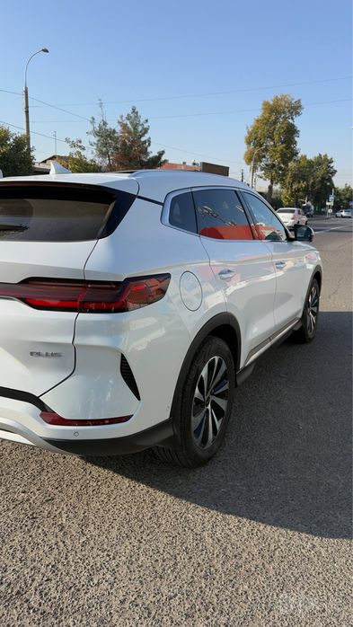 Byd champion 605