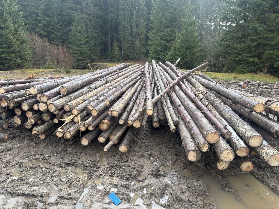 Bile capriori rotunzi pentru constructii