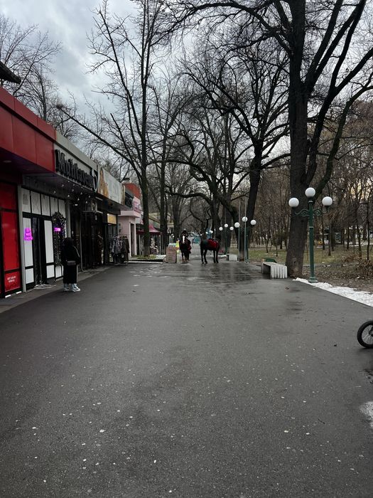 ЦУМ книжный ряд. Продается 4 магазины в месте. Рядом с голубым купалом