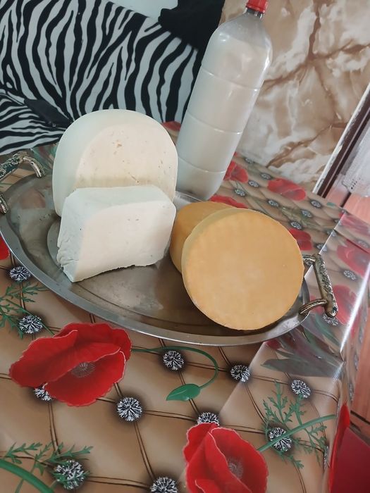 Branza ,cașcaval, urda,lapte produse naturale
